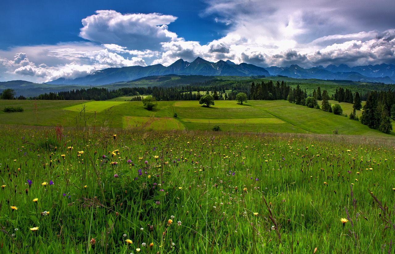 2023.07.15 Pieniny spiskie - Pasmo Żaru (archiwum)